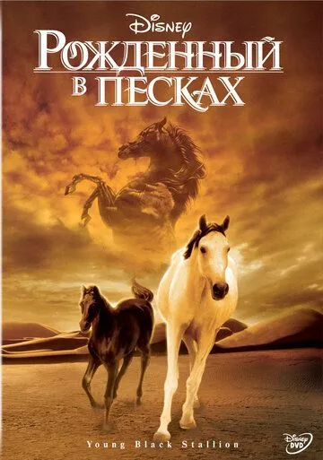 Постер к фильму Рожденный в песках (2003)