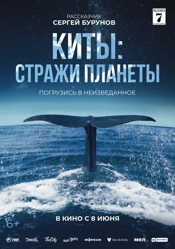 Постер к фильму Киты: Стражи планеты (2023)