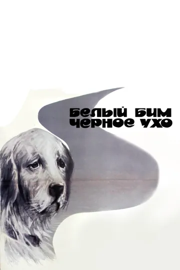 Постер к фильму Белый Бим Черное ухо (1976)