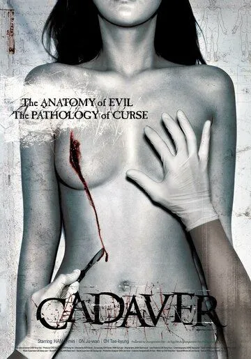 Постер к фильму Труп (2006)