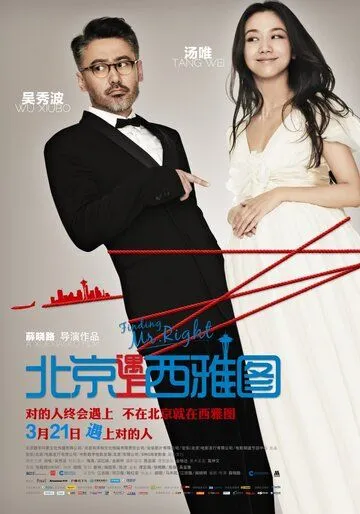 В поисках мистера Совершенство (2013)