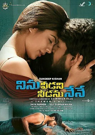Постер к фильму Ninu Veedani Needanu Nene (2019)