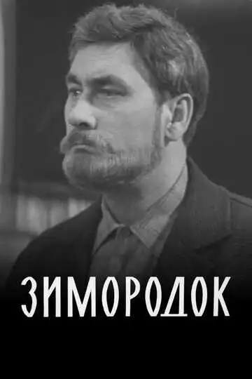 Постер к фильму Зимородок (1972)