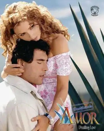 Постер к фильму Чистая любовь (2007)