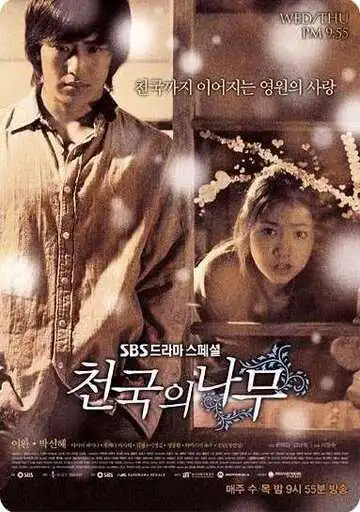 Постер к фильму Райское дерево (2006)