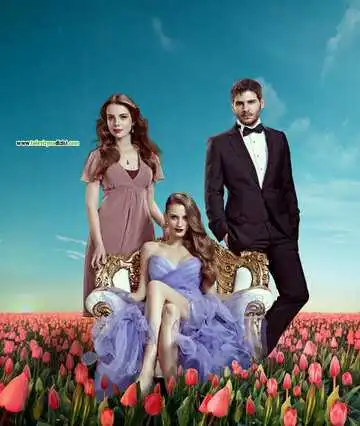 Постер к фильму Пора тюльпанов (2010)