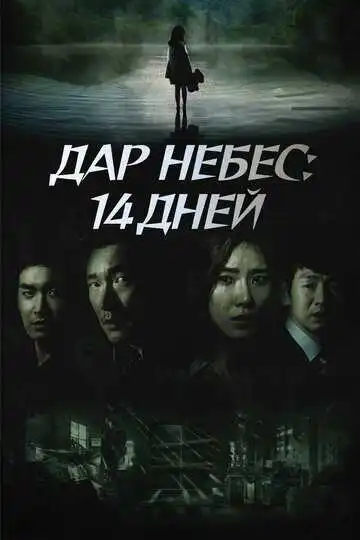 Постер к фильму Дар небес: 14 дней (2014)