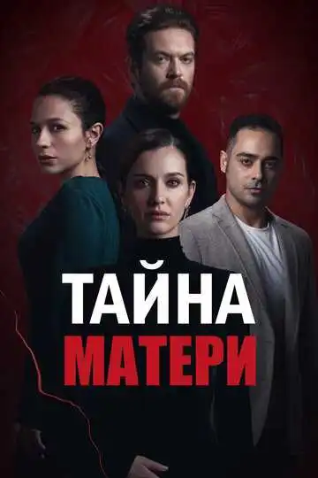 Постер к фильму Тайна матери (2022)
