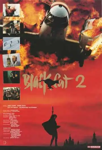 Постер к фильму Чёрная кошка 2 (1992)