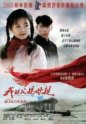 Постер к фильму Дорога домой (1999)