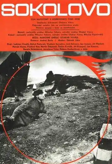 Постер к фильму Соколово (1975)