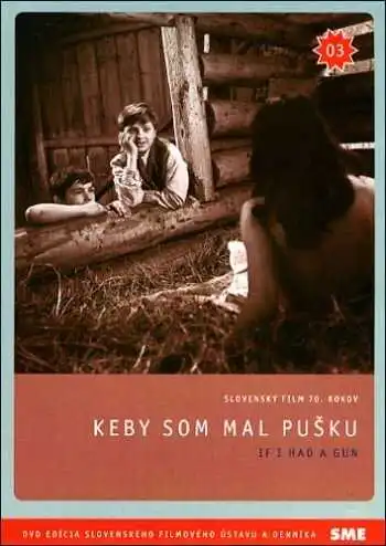 Постер к фильму Если бы у меня было ружье (1971)
