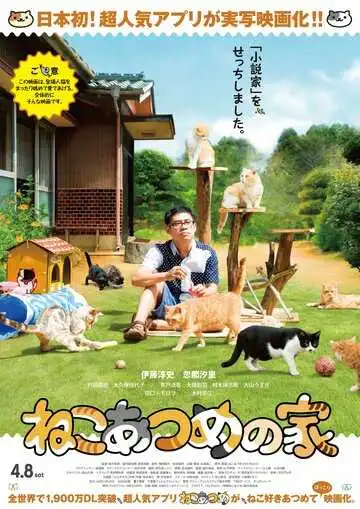 Постер к фильму Дом кошек (2017)