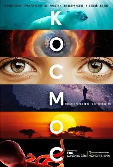 Постер к фильму Космос: Пространство и время (2014)