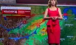 Смотреть онлайн День разоблачения (2026)